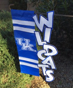 Our flag outside our house.. 31-0 BABY!!